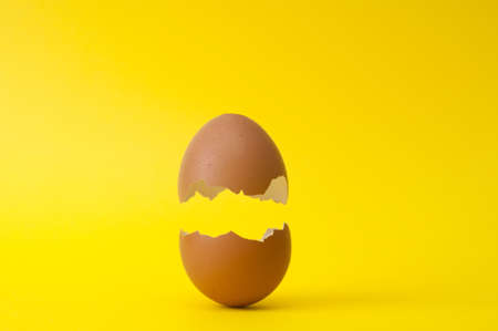 Cracked egg shell close up on yellow backgroundの写真素材