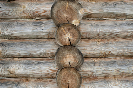 Peasant's wooden house log wall close upの写真素材