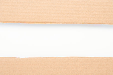 Torn edge cardboard pieces on a white backgroundの写真素材