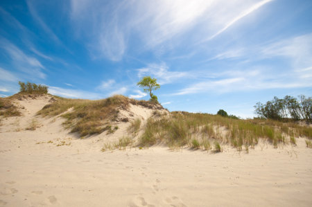 Sand dunes landscape under cloud blue skyの写真素材
