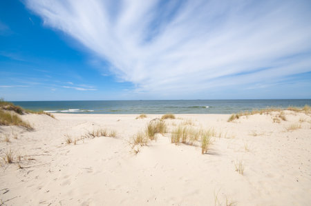 Sand dunes landscape at the Baltic seaの写真素材