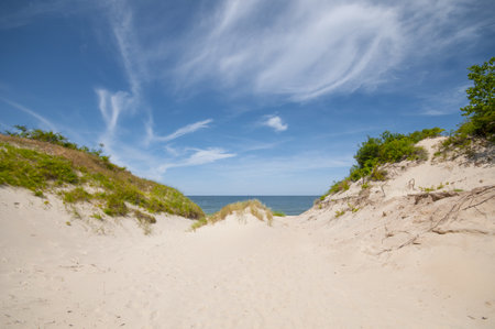 Sand dunes landscape at the Baltic seaの写真素材