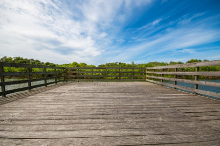 Wooden pier on a pond under cloudy blue skyの写真素材