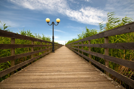 Wooden pathway through reeds under dramatic blue skyの写真素材