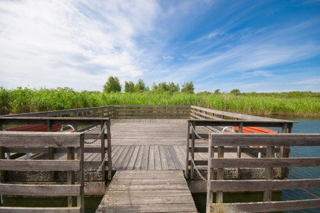 Wooden pier on a pond under blue skyの写真素材