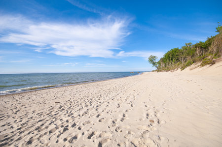 Empty, sandy beach and sea waves by sunny dayの写真素材