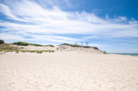 Empty, sandy beach under blue sky by sunny dayの写真素材