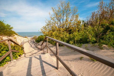Wooden stair at dunes leading to the sand beach