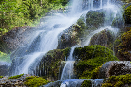Beautiful artificial waterfalls, lush green mossy stones. (izvorul miilor) Romania, Stana de Vale