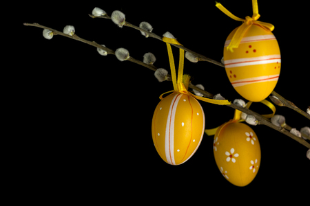 Various patterned eggs suspended on a catkins branch in front of a black background.の写真素材