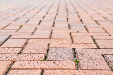 Brick sidewalk texture, herringbone pattern.の写真素材
