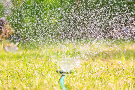 In the garden watered the grass, using a spraying irrigation system.の写真素材