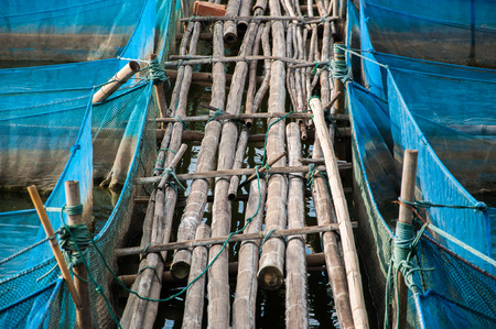 Bamboo pathway of Nile tilapia Fish farms with blue netの写真素材
