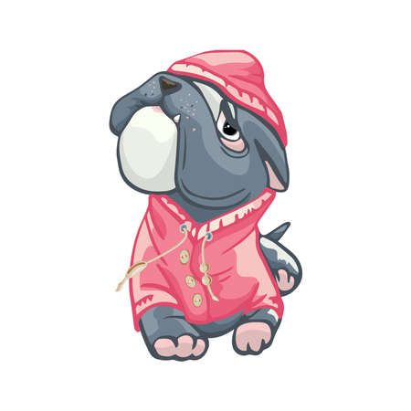 funny bulldog in a pink sweater, windshield illustration, dog hand drawing, cute printable imageのイラスト素材