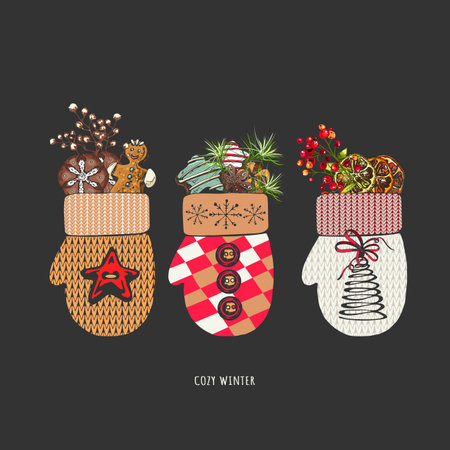 set of three mittens with cones, berries, cookies, cozy winter traditional elements of Christmas, design greetings, invitations, knitted warm mitten with cookies, fir cones and berriesのイラスト素材