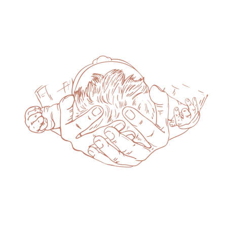 child's head in the hands of an adult, top view, the back of the newborn's head, doctor, obstetrician, dad, mom, sketch, brown line, hand drawing, detailed, on a white background, brown, graphicsのイラスト素材