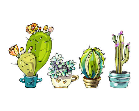 set of cartoon cactus, watercolor style, black outline, white background, bright, colorful flowers in pots, succulents,のイラスト素材