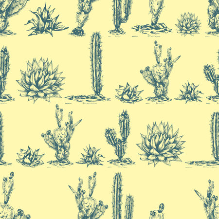 graphic illustration, set of different cacti, blue agave, tequila main ingredient, seamless pattern, desert cactus drawing, agave, side viewのイラスト素材