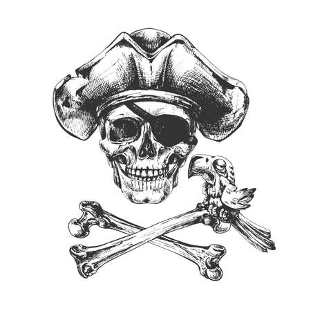 pirate skull, bones, parrot, graphic vector illustration on a white background,のイラスト素材