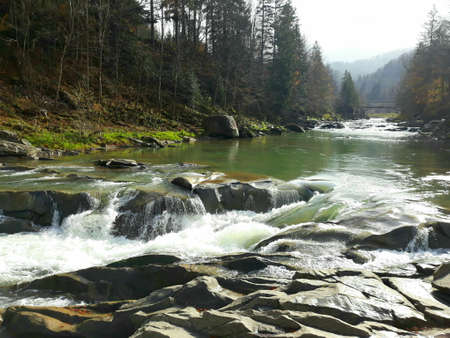 Beautiful bubbling, fast river Prut among the rocky coast in the city of Yaremche in the fall. Western Ukraine, Carpathians, October 27,2018の写真素材