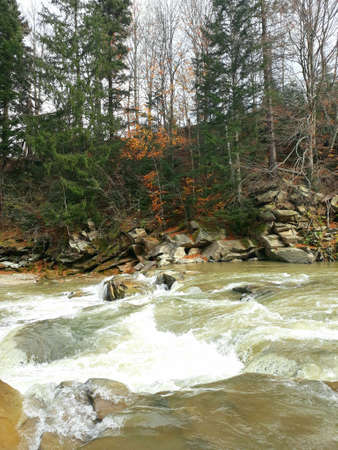Beautiful bubbling, fast river Prut among the rocky coast in the city of Yaremche in the fall. Western Ukraine, Carpathians, October 27,2018の写真素材