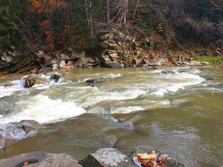 Beautiful bubbling, fast river Prut among the rocky coast in the city of Yaremche in the fall. Western Ukraine, Carpathians, October 27,2018の写真素材