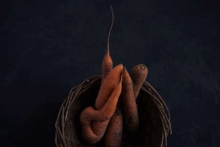 Fresh ugly carrots lie in a basket on a black background, collected in a vegetable garden.View from above, close-upの写真素材