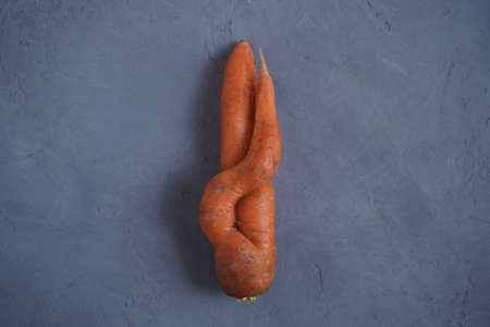 Fresh ugly carrots a gray background, collected in a vegetable garden.View from above, close-upの写真素材