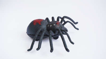 Black clockwork plastic toy spider on a white background, close up. oncept of celebrating the day of the dead, Halloween.の写真素材