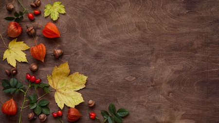 Yellow autumn leaves, red rose hips, orange fezalis and acorns on old brown wooden background, top view, flat lay, copy space. Autumn atmosphere concept.の写真素材