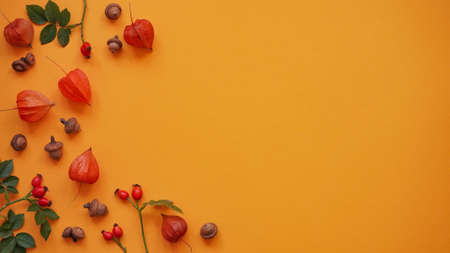 Yellow autumn leaves, red rose hips, orange fezalis and acorns on orange background, top view, flat...