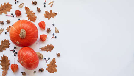 Autumn composition. Pattern of pumpkin, physalis, dried oak leaves, wild Parthenocissus grapes and...