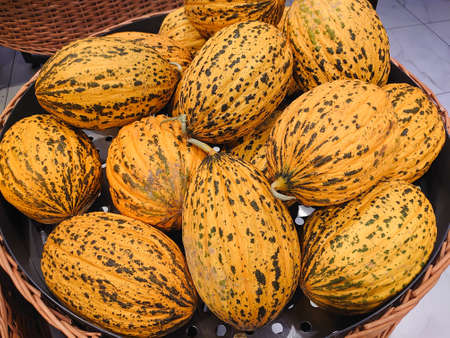Close-up shot of yellow striped ripe turkish melons, seasonal summer fruits, organic farm product,...