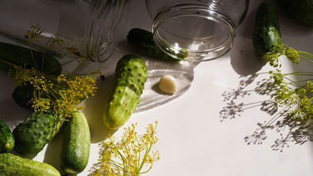 glass jars, fresh cucumbers, dill, garlic and black pepper on white plate, top view, flat lay, copy space.Ingredients for canning, pickling or fermenting vegetables.Homemade pickling cucumber recipes.shadow.の写真素材