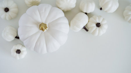 Close-up of many white pumpkins on a white background, top view, flat lay, copy space. Decor concept Happy Halloween holiday. Thanksgiving day, symbol of autumn. Beautiful bannerの写真素材