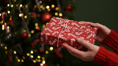 Female hands in red sweater hold Christmas New Year gift box on background of Christmas tree.Giving gifts for holidays.Christmas holidays celebration concept,gifts for family,friends.Winter banner.の写真素材
