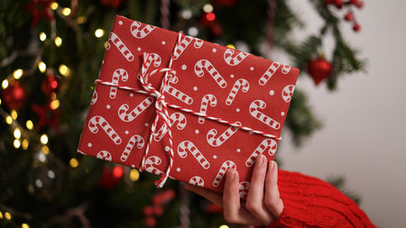 Female hands in red sweater hold Christmas New Year gift box on background of Christmas tree.Giving gifts for holidays.Christmas holidays celebration concept,gifts for family,friends.Winter banner.の写真素材