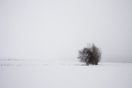 Winterの写真素材