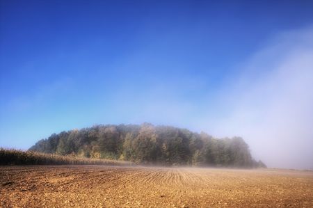 Fog