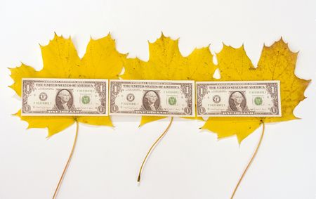 Autumn dollar