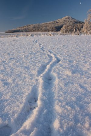 Winterの写真素材