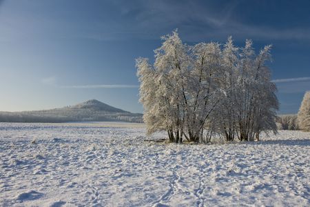 Winterの写真素材