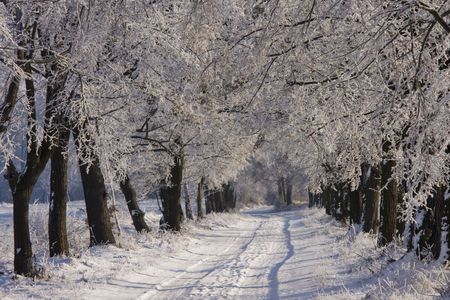 Winter roadの写真素材