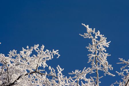 Winterの写真素材