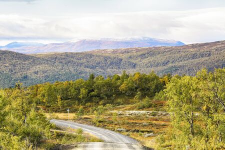 Fall in the Forollhogna National Park, Norwayの写真素材