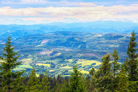 Aerial view from the top of the mountain Vassfjella located near the city Trondheim
