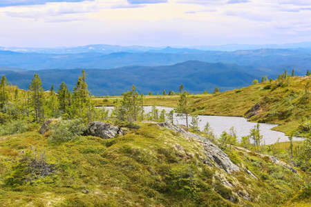 Aerial view from the top of the mountain Vassfjella located near the city Trondheim in Melhus...