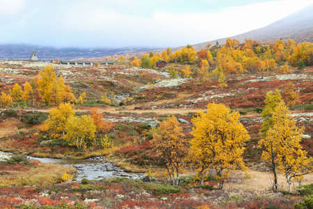Fall in the Forollhogna National Park, Norwayの写真素材