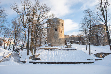 Ancient castele and park in the Latvian town Cesis in the winterのeditorial素材