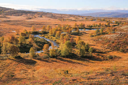 Fall in the Forollhogna national park , Norwayの写真素材